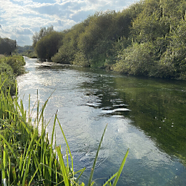 Study highlights river diversions and how they extend the journey of microplastics - Vimarsana News