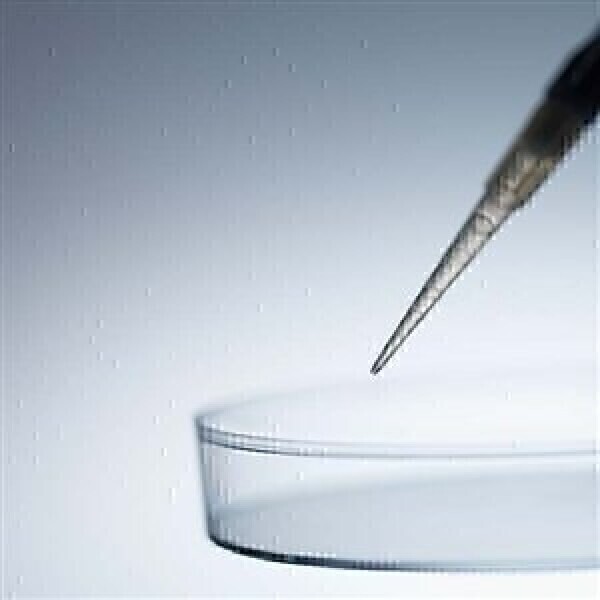 How do nitrosamines impact sampling methods? - Vimarsana News