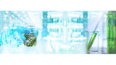 High precision analyser proving to be an ideal tool for algae research
