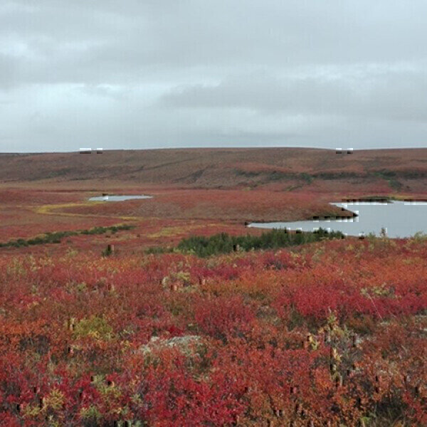 Arctic Soil Methane Consumption: A Deeper Look into its Impact in Drier Climates - Vimarsana News