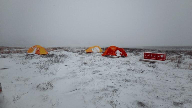 Field Work Conditions