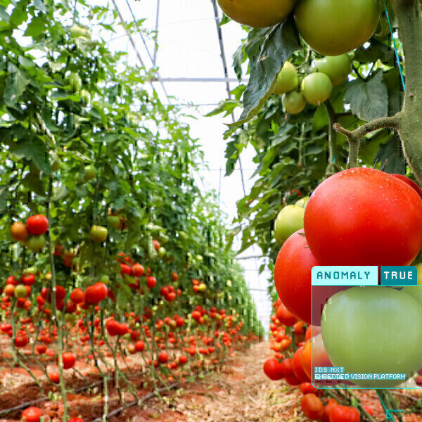 Sustainable solutions based on industrial cameras - Vimarsana News