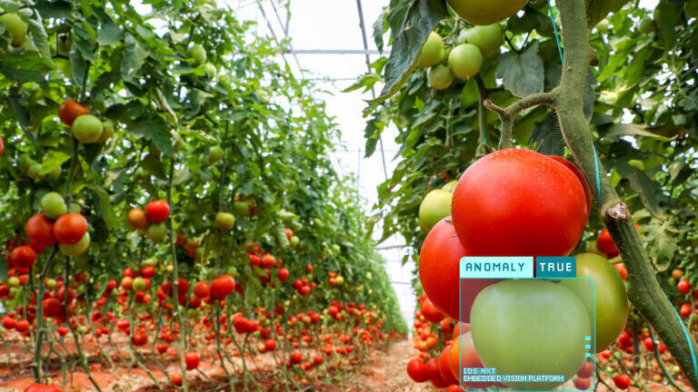 Sustainable solutions based on industrial cameras