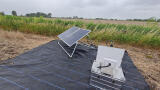 AI enables scientists to monitor the environmental impact of farming on biodiversity