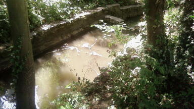Environment Agency extends natural flood management scheme - but will it help water quality?