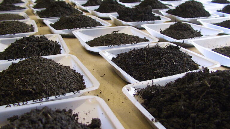 What are the main sources of soil pollution across Asia?