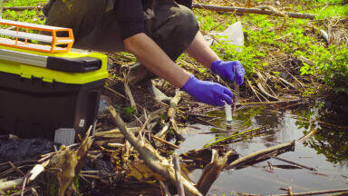 Toxic metals pollute environment around defunct Welsh mines