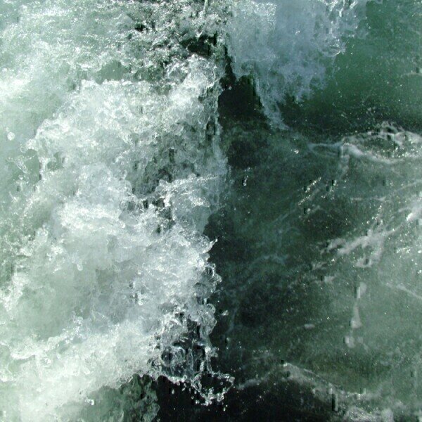 New research claims most PFAS pollution comes from ocean spray - Vimarsana News