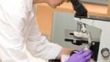 Fully automated E. coli and Enterococci monitoring