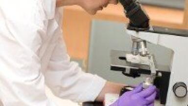 Fully automated E. coli and Enterococci monitoring