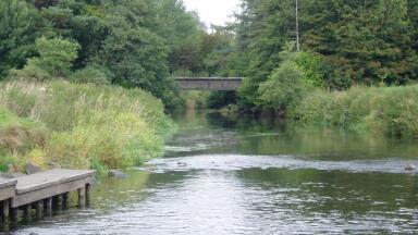 How sewage dumping damages chalk streams