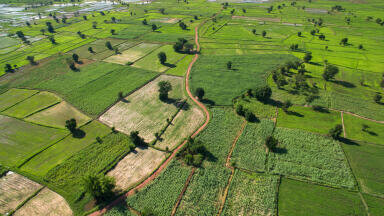 Could turning biodiversity into a financial asset prevent ecosystem collapse?
