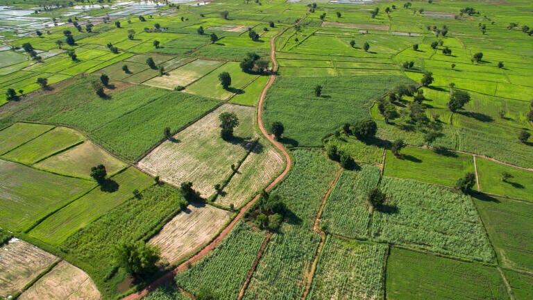 Could turning biodiversity into a financial asset prevent ecosystem collapse?