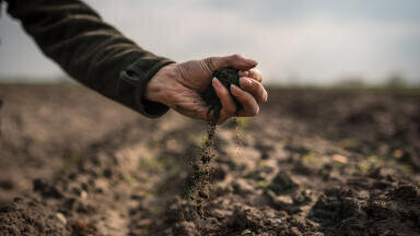 Why monitoring is essential to soil-friendly farming: talking with documentarian Claire Mackenzie