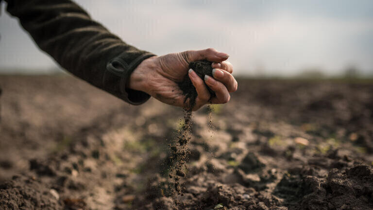 Why monitoring is essential to soil-friendly farming: talking with documentarian Claire Mackenzie