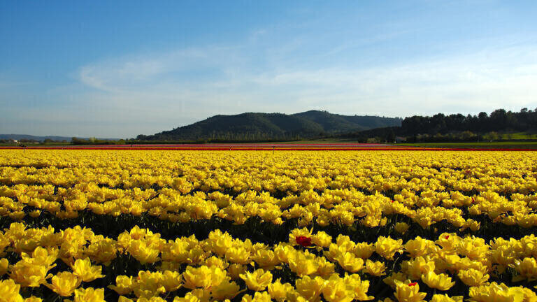 What is the state of biodiversity in China?