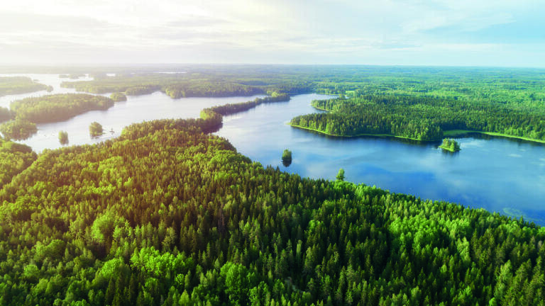 How artifical wetlands could aid water quality in Asian waterways