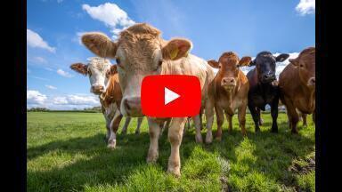 WATCH: Preview of Methane Conference at AQE 2024