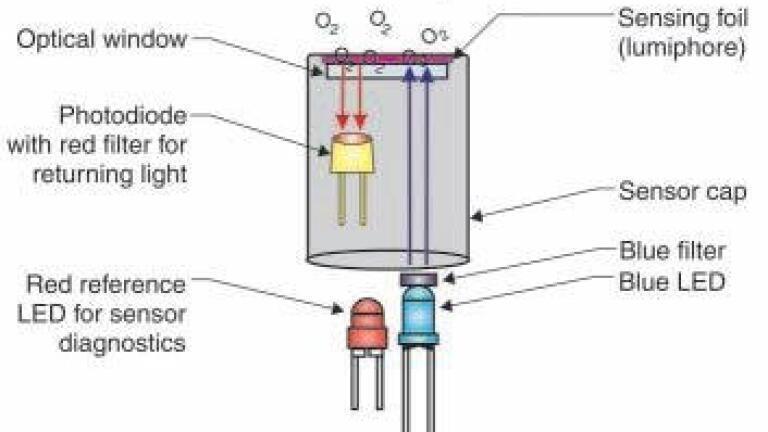Optical Dissolved Oxygen Technology Outperforms Traditional Methods