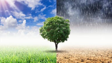 Over 75% of Earth permanently drier than 1990s, says UN
