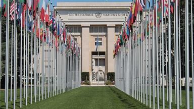 What is the United Nations Convention on Biological Diversity (CBD)? 