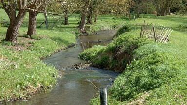 Record sewage spills in 2024, says Environment Agency