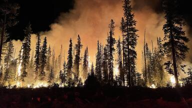 Wildfires: do we really know how much CO2 they release?