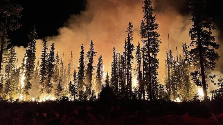 Wildfires: do we really know how much CO2 they release?