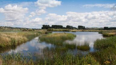 Anglers independently confirm high phosphate levels in UK rivers