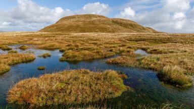 Natural England releases first full map of UK peat 