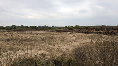 Is Natural England’s Peat Map a monitoring failure?