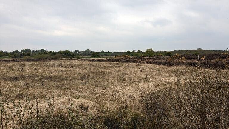 Is Natural England’s Peat Map a monitoring failure?