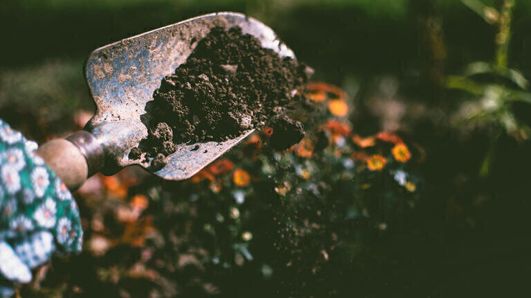 New study links global warming to rising antibiotic resistance in soils