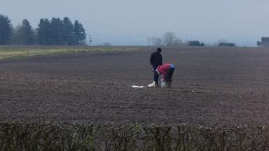 What cuts to nature-friendly farming mean for farmland monitoring