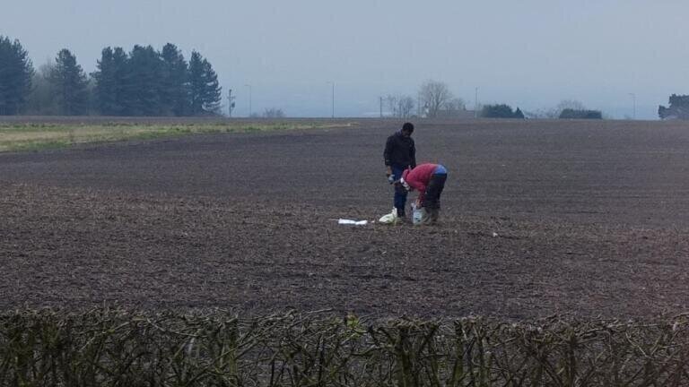 What cuts to nature-friendly farming mean for farmland monitoring