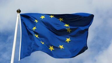 Understanding how EU countries translate emissions inventories into quotas