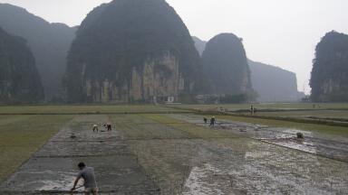 Southeast Asia: what is WANDS?