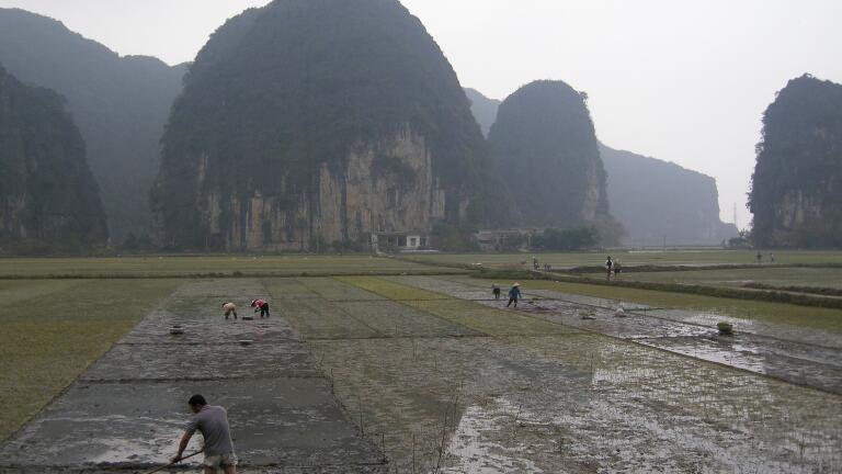 Southeast Asia: what is WANDS?