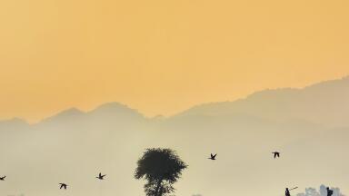 Bangladesh is redefining effective air quality monitoring for developing nations