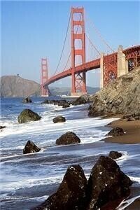 San Francisco firms fail to follow environmental legislation
