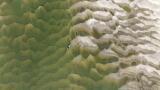 Soft sensors are transforming wastewater monitoring in Indian cities