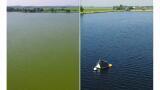 An intelligent, non-chemical solution for harmful algal bloom control