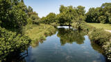 Alarming microplastic pollution found in hampshire’s chalk streams – with global implications
