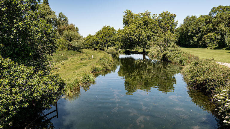 Alarming microplastic pollution found in hampshire’s chalk streams – with global implications