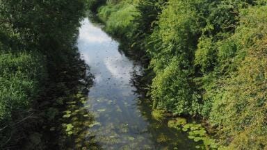 Calls for routine monitoring of ditches as indicators of environmental health