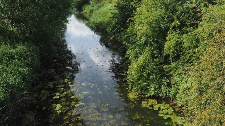 Calls for routine monitoring of ditches as indicators of environmental health