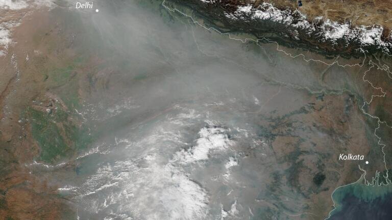 Does India need to choose either EU or US EPA standards?