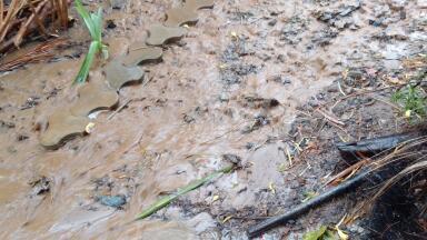 UK: why monitoring road runoff demands unique infrastructure