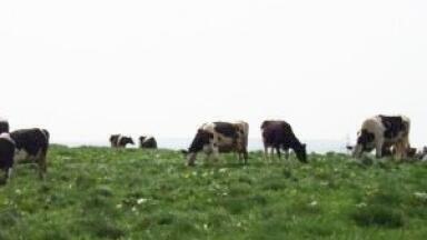 Farmer fined for breaching environmental legislation