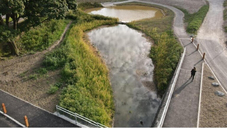 Brighton scientists lead the fight to keep toxic road runoff out of the city’s water supply